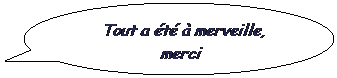 Bulle ronde: &nbsp;Tout a �t� � merveille, merci
